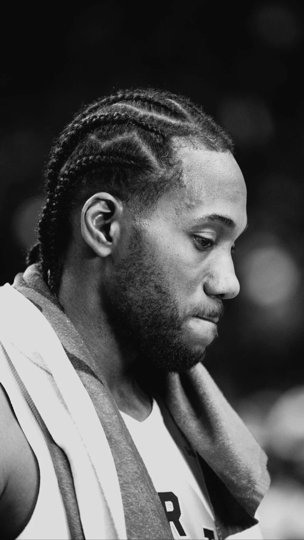 先河道视野 先河道视野